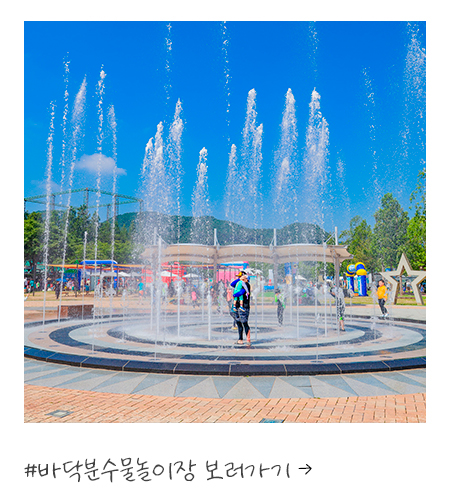 바닥분수물놀이장 보러가기